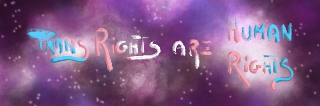 ColibriNegro's profile banner image