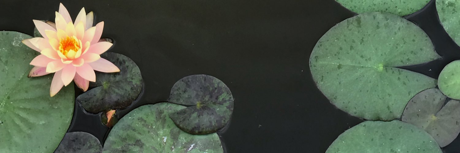 antoniosnts's profile banner image