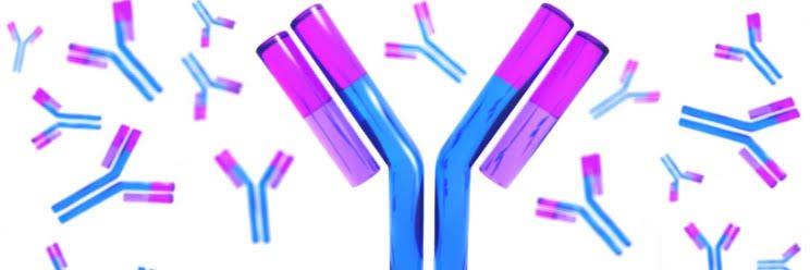 Antibodies Against Kookery banner