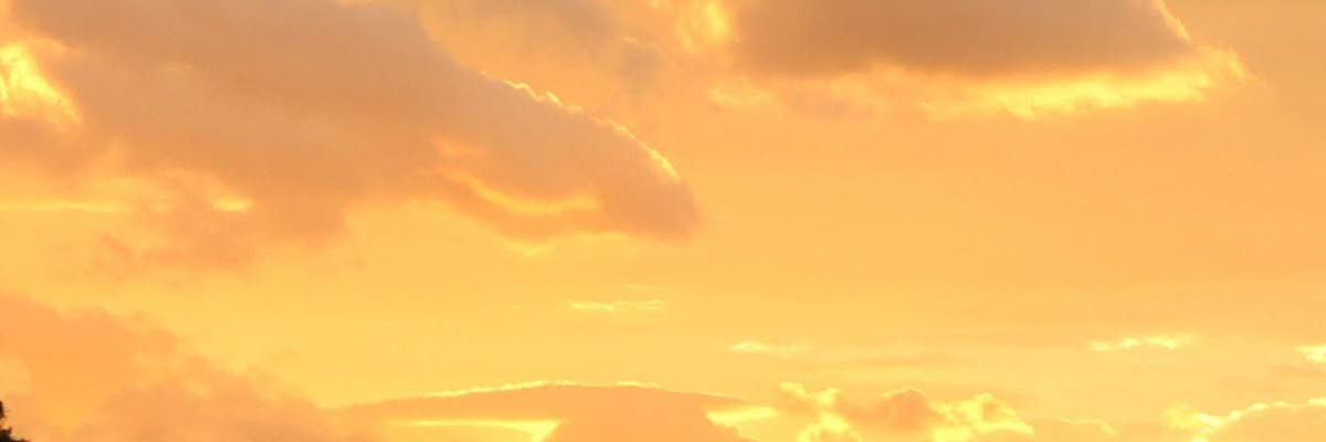 FURYNPASSION's profile banner image