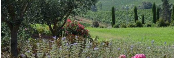 runningjen Profile Banner