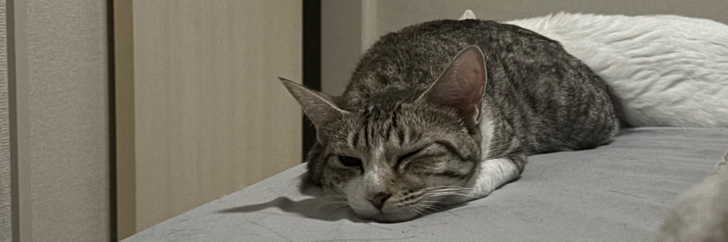 kenjidf's profile banner image