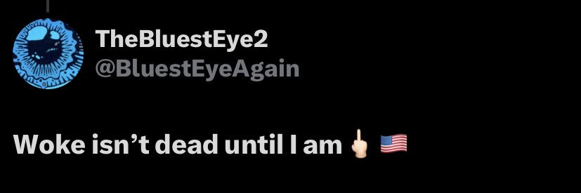 TheBluestEye2 banner