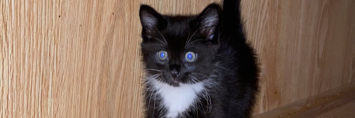 minimehannah's profile banner image