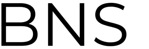 BNS LLC banner