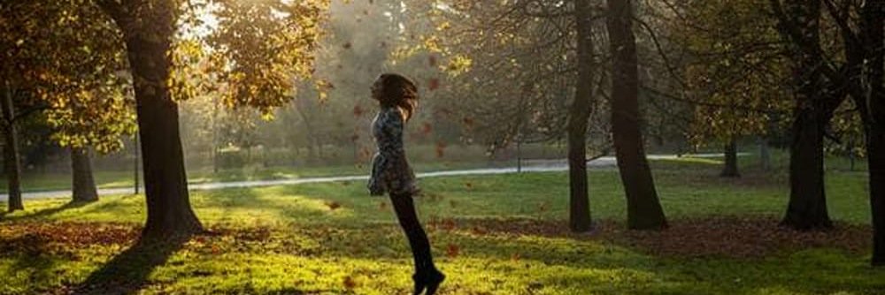 andrea donati banner