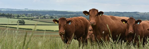 Daylesford Farm Profile Banner