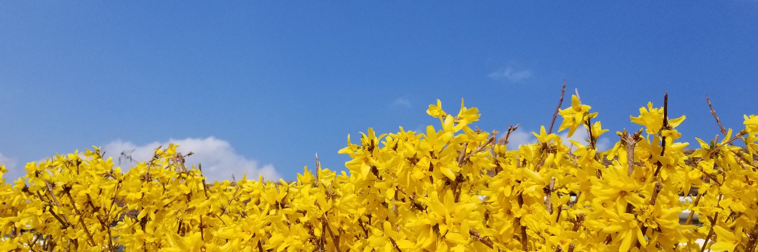 Helena Jaeschke banner