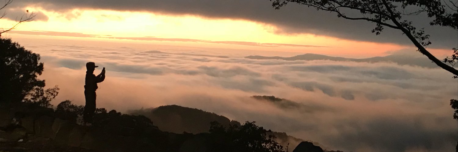 LBell1117's profile banner image