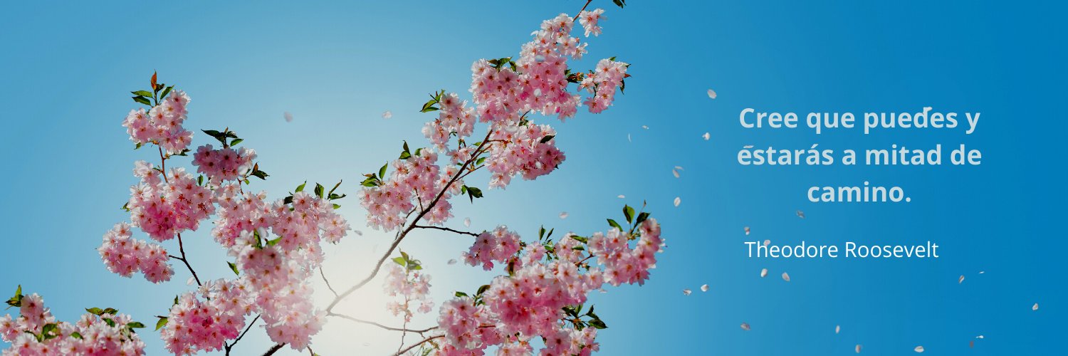 RSumarriva's profile banner image