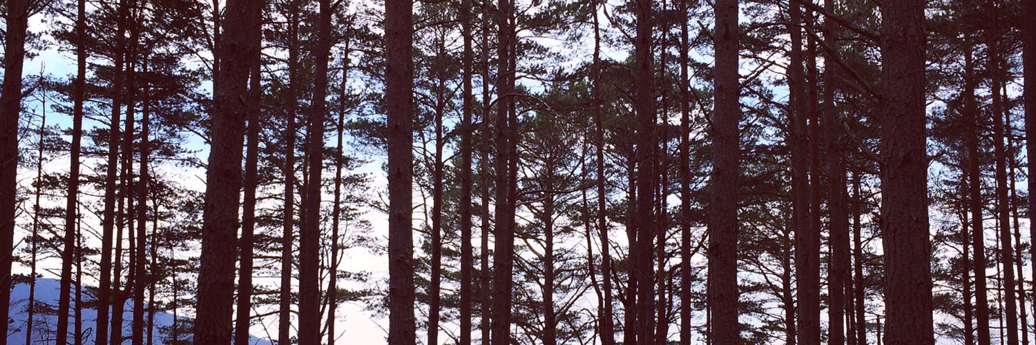 johnmcnicol01's profile banner image