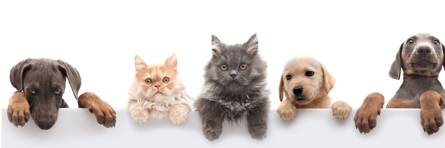 UtterlyPetsApp's profile banner image