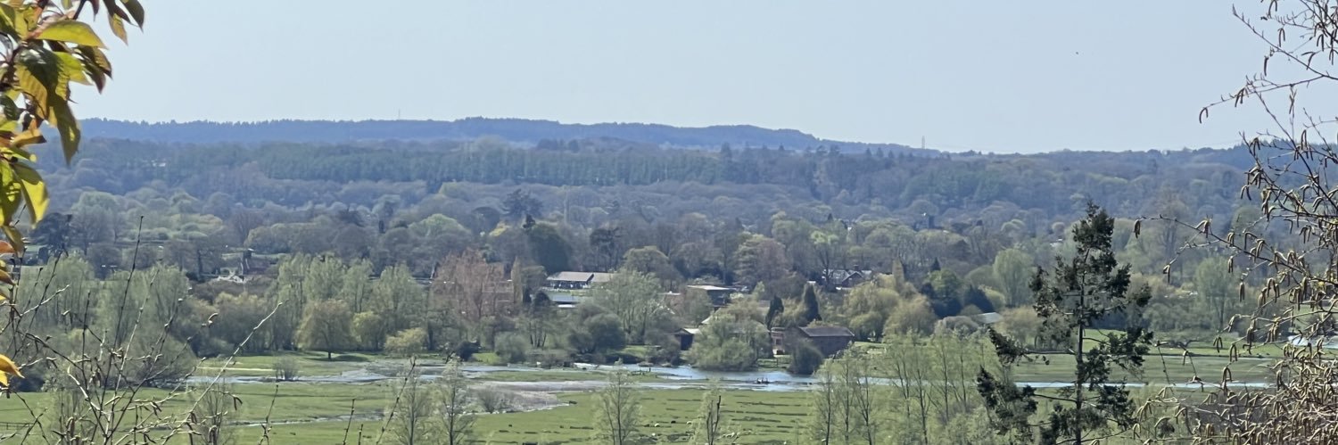 Anita & Aaron banner