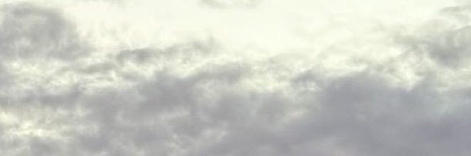 🩶 banner