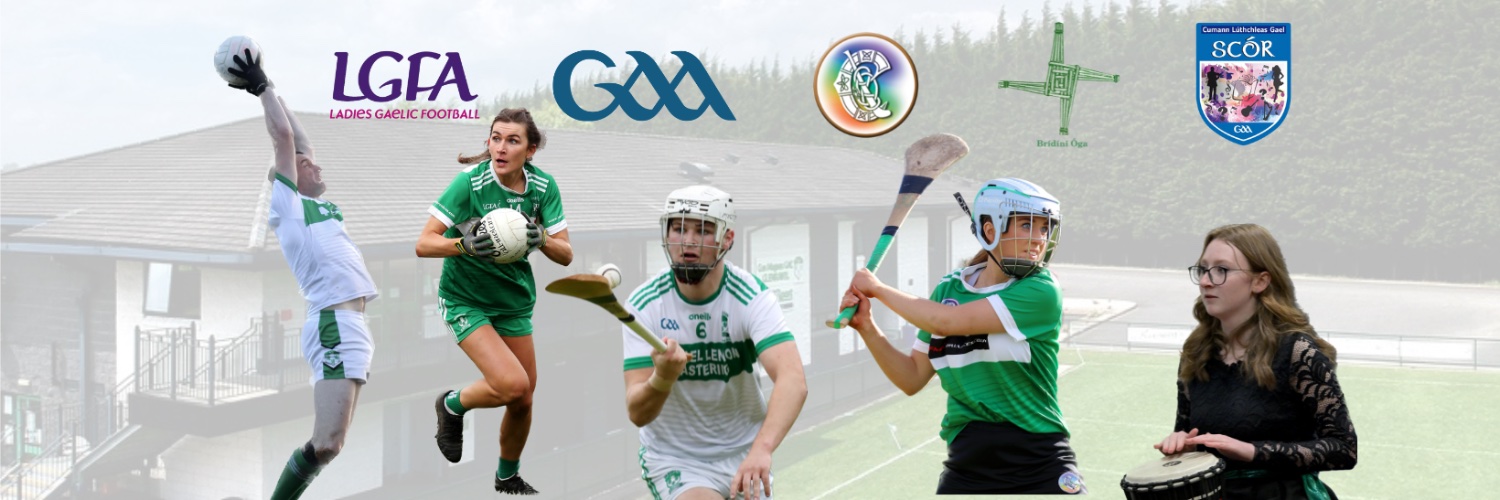 Glenravel (Gleann Fhreabhail) GAA banner