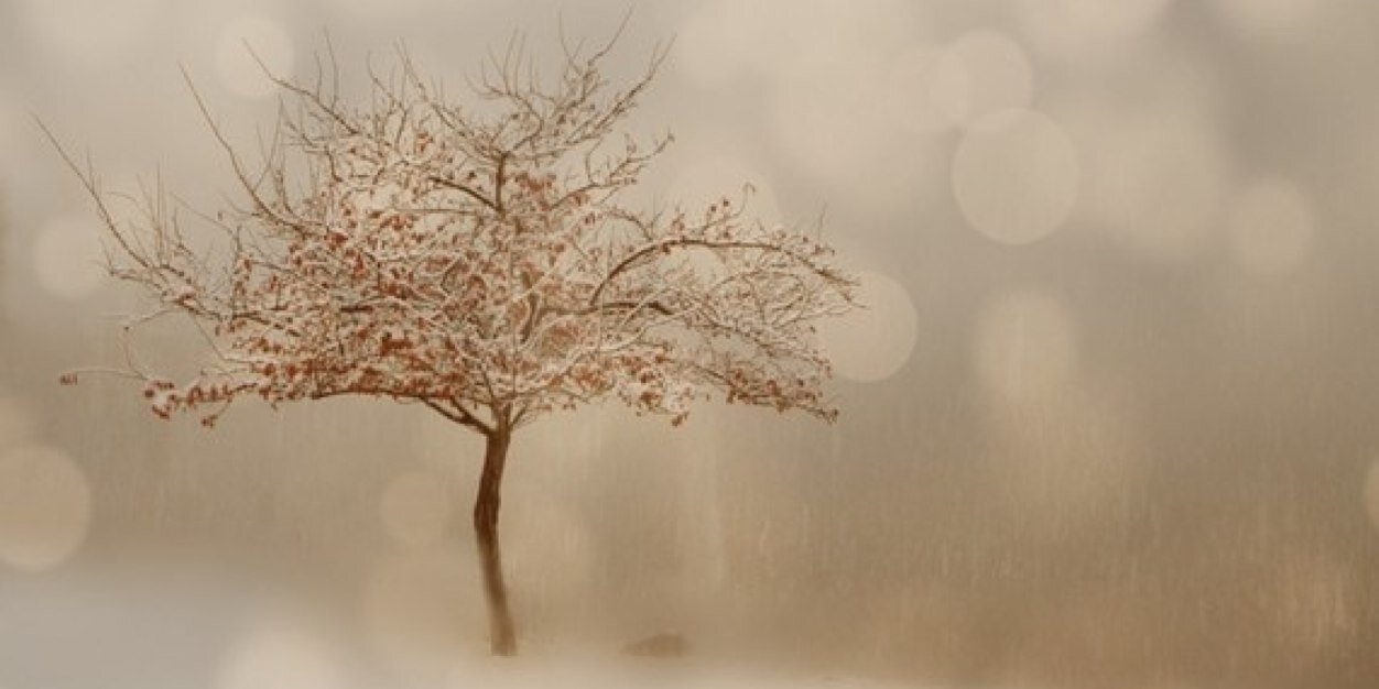 jess_rader's profile banner image