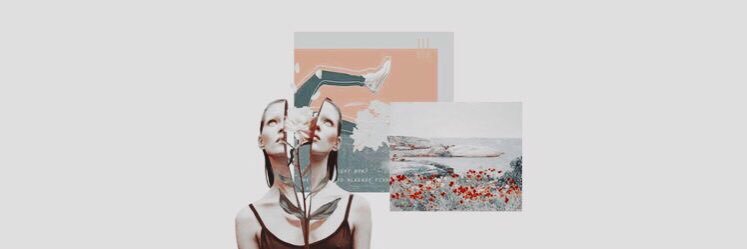 M banner