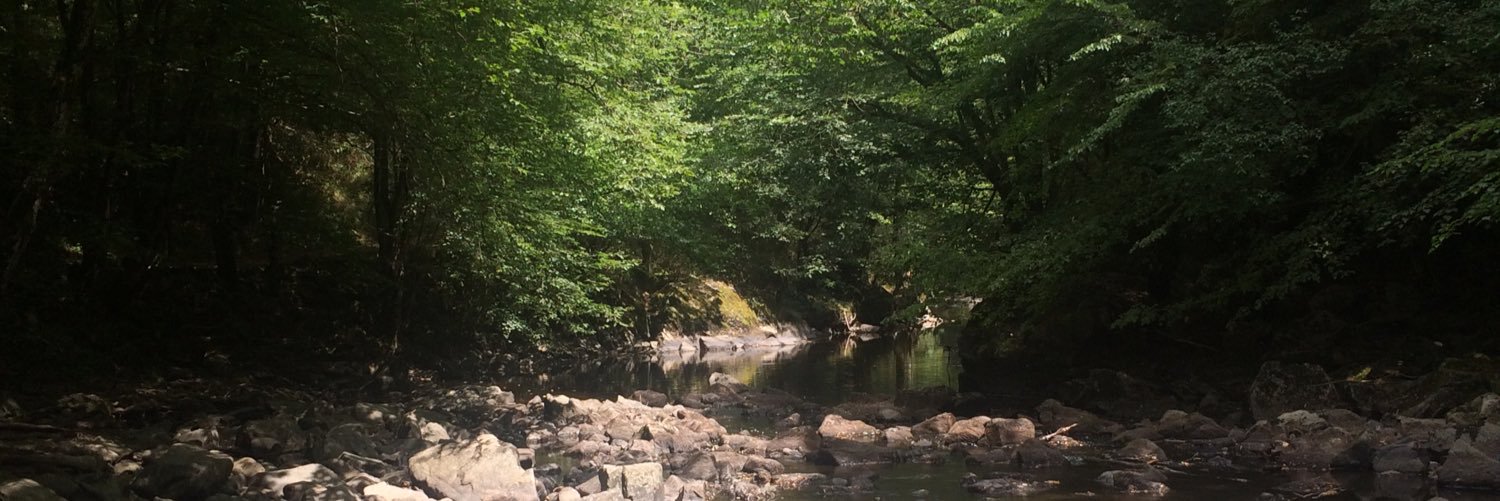 Anouk De Vlieg banner