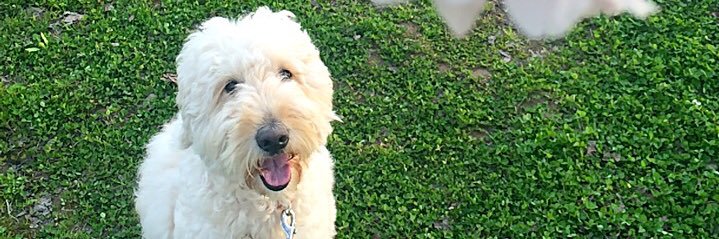 あき｜広報パーソン（ＰＲプランナー） banner