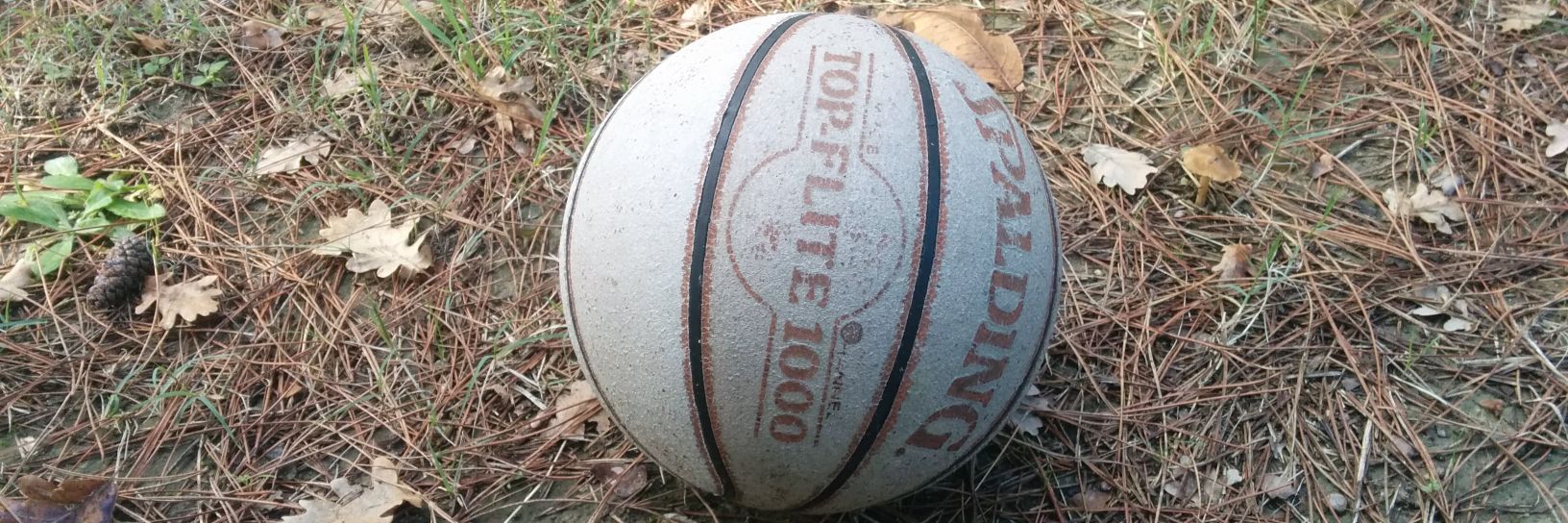 Raffaele Vitali banner