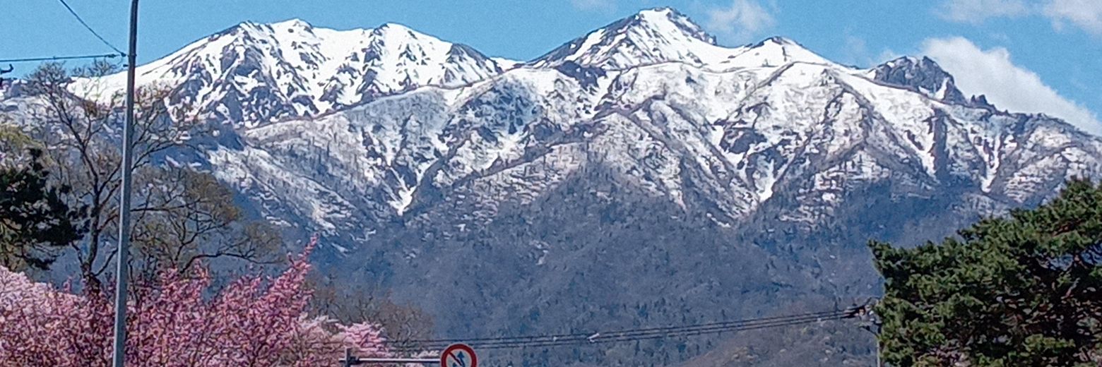 toritoritobe's profile banner image
