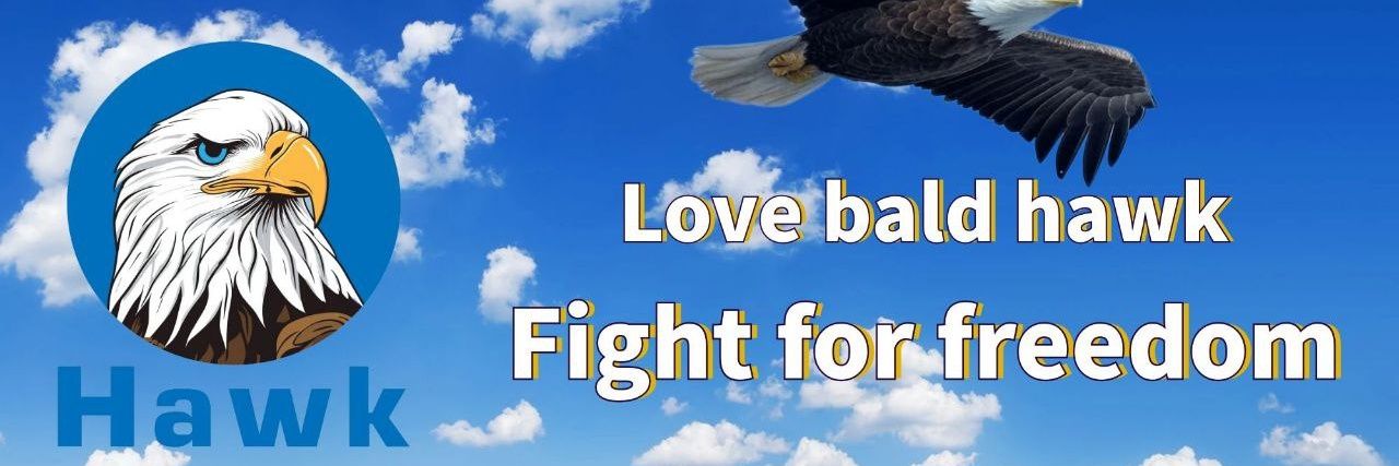 HAWK||ARMY||NIGERIA banner