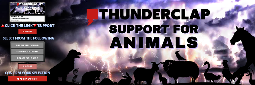 Thunderclap support banner
