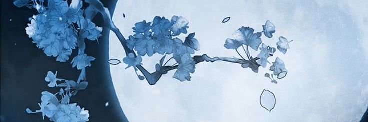 EclipsOwl's profile banner image