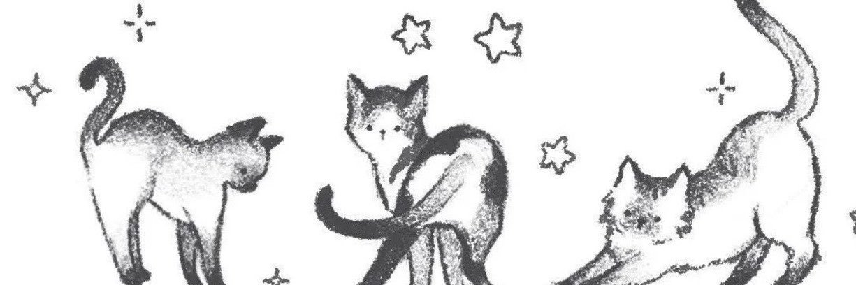 meshaa2k's profile banner image