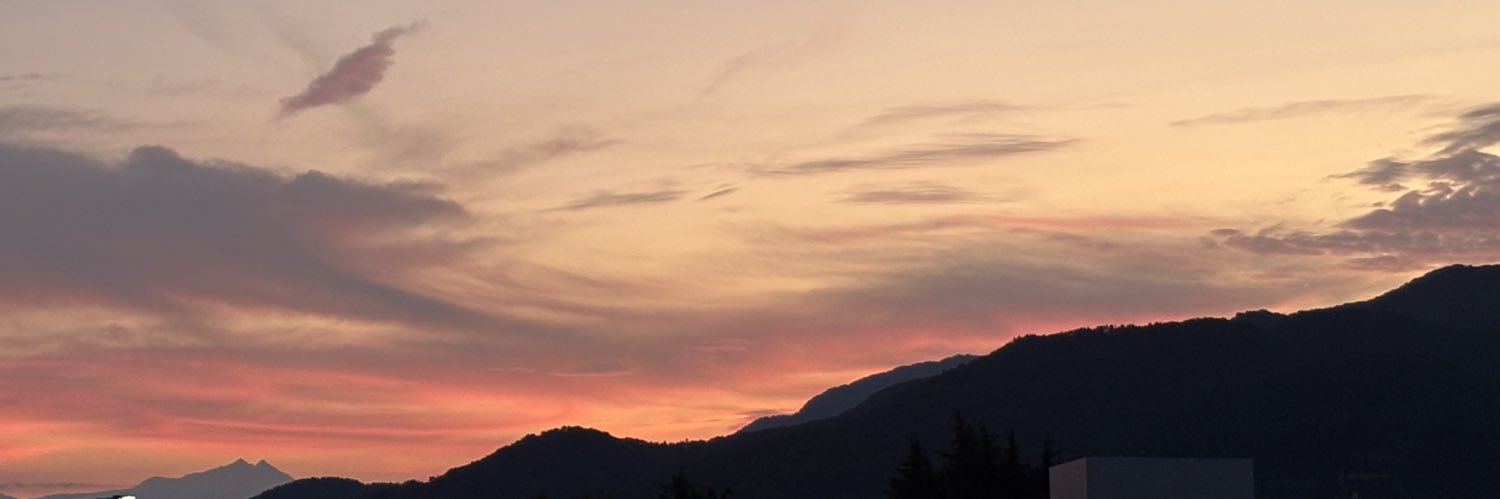 中豹 banner