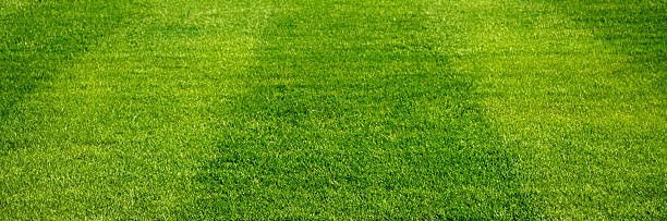 profootballesp's profile banner image