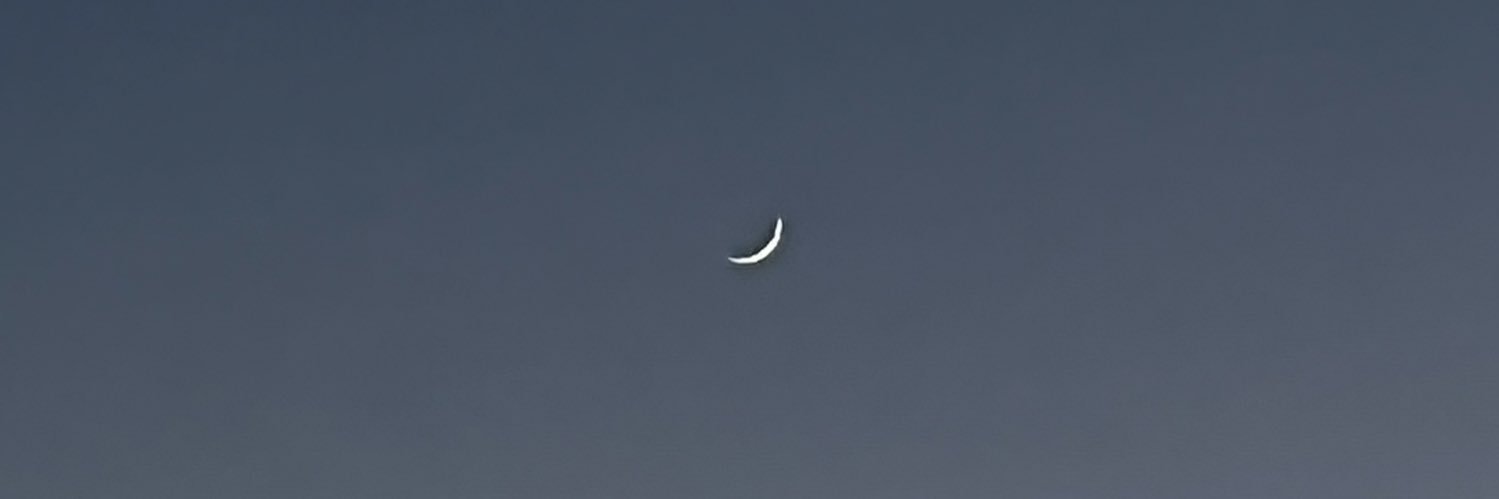 1saadaan's profile banner image