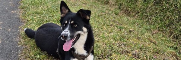 ArtNonem Profile Banner