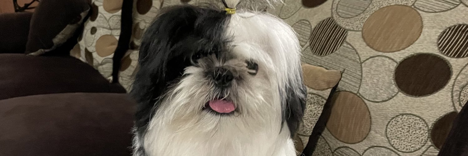 FreDito07's profile banner image