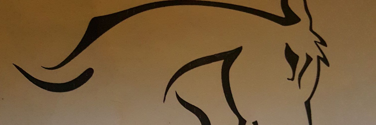 BIGGPUPP's profile banner image