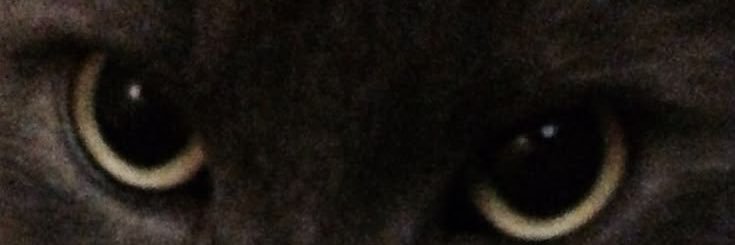 i427i's profile banner image