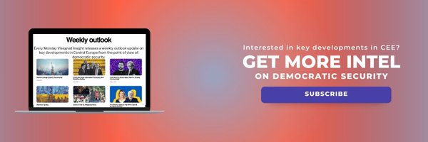VisegradInsight Profile Banner