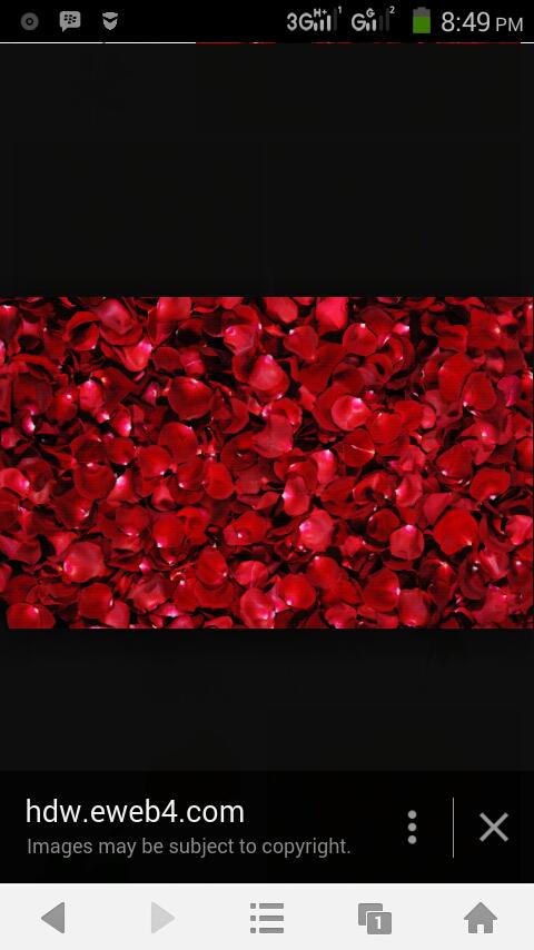 missfloooo's profile banner image