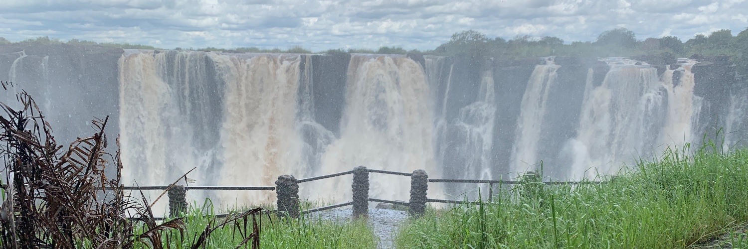 Madison Warner banner