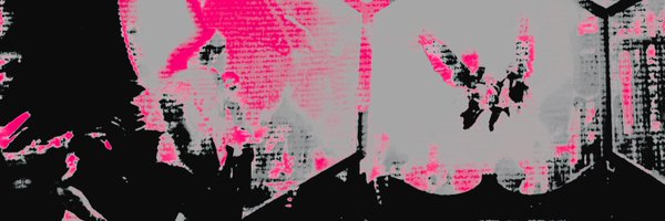 windsenforced Profile Banner