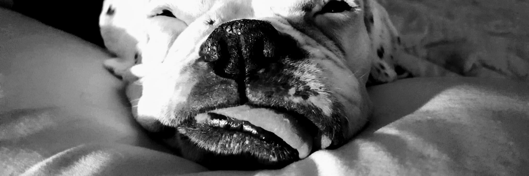jdohl69's profile banner image