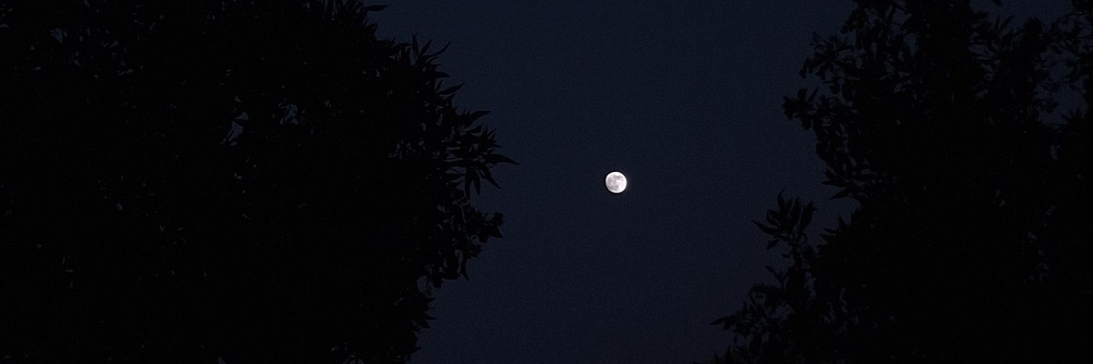 الفأره الطباخة🐭 banner