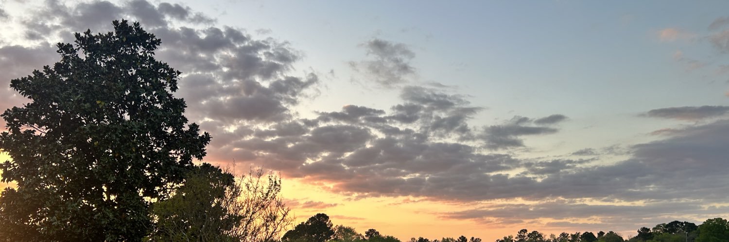 Scuderia Ferrari Spiderman banner