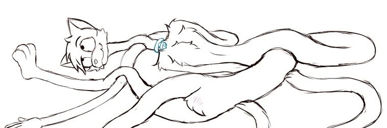 Squishycat banner