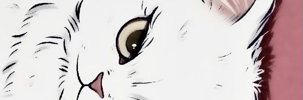 hellopucci's profile banner image