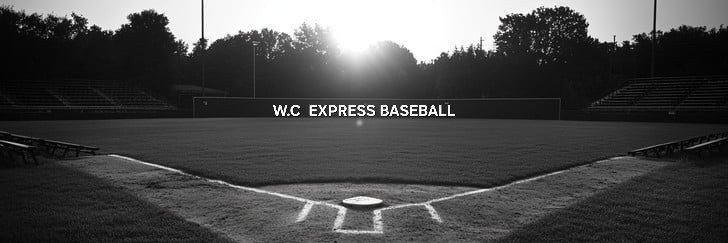 979Baseball's profile banner image
