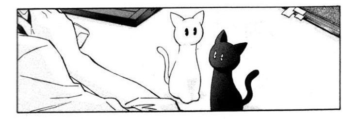 —レイデン banner