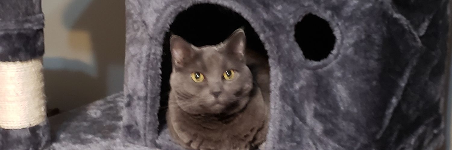 mrdude1228's profile banner image