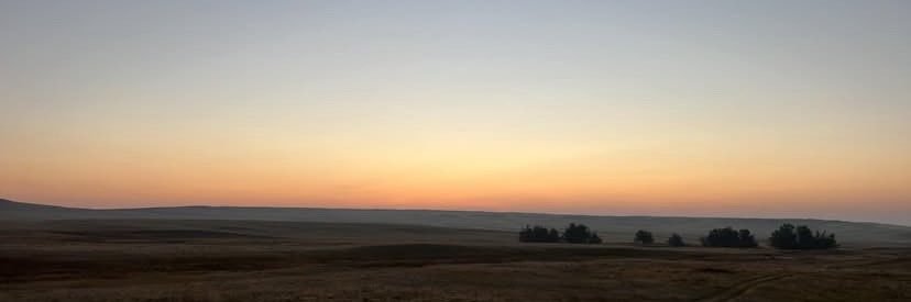 PeterWelleri's profile banner image