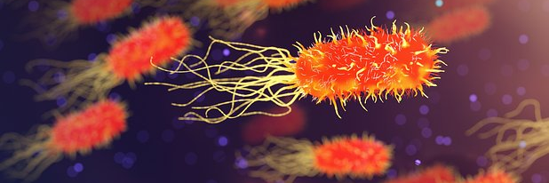 Emory Cancer Biology Program banner